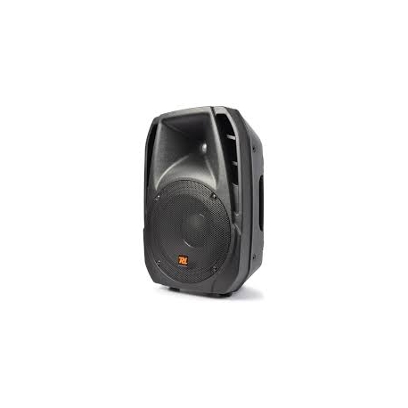 ENCEINTE  HP  10P  100 W
